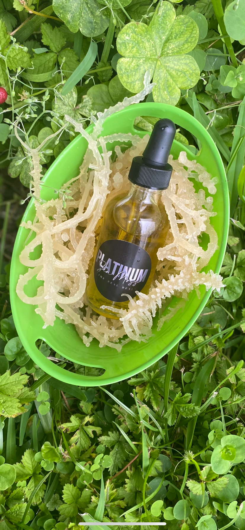 Sea Moss Growth Oil